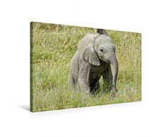 Calvendo Premium Textil-Leinwand 75 cm x 50 cm quer, EIN Motiv aus dem Kalender Elefantenkinder. Spielplatz in der Savanne | Wandbild, Bild auf Keilrahmen. Leinwanddruck: Kleiner Jumbo Tiere Tiere