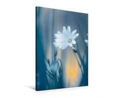 Premium Textil-Leinwand 60 x 90 cm Hoch-Format Weiße Blumen - Sternmiere | Wandbild, HD-Bild auf Keilrahmen, Fertigbild auf hochwertigem Vlies, Leinwanddruck von Ulrike Adam