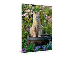 Premium Textil-Leinwand 80 x 120 cm Hoch-Format Rote Katze auf Holzfass im blÃ¼henden Garten | Wandbild, HD-Bild auf Keilrahmen, Fertigbild auf hochwertigem Vlies, Leinwanddruck von Katho Menden
