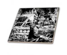 3dRose Fliesen, 12-inch-Ceramic