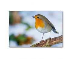 Premium Textil-Leinwand 90 x 60 cm Quer-Format Rotkehlchen | Wandbild, HD-Bild auf Keilrahmen, Fertigbild auf hochwertigem Vlies, Leinwanddruck von Em-Jott Fotografie