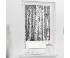 Lichtblick Rollo Klemmfix, 90 x 150 cm mit Motiv Birken - Schwarz-Weiß Montage ohne Bohren, moderner Sicht-und Sonnenschutz, Motivrollo, lichtdurchlässig & Blickdicht