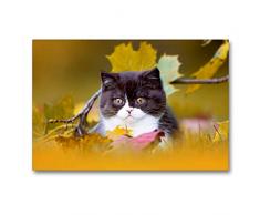 Premium Textil-Leinwand 90 x 60 cm Quer-Format BKH Katzenkind im Herbst | Wandbild, HD-Bild auf Keilrahmen, Fertigbild auf hochwertigem Vlies, Leinwanddruck von Wabi Sabi Fotografie by Janina Bürger