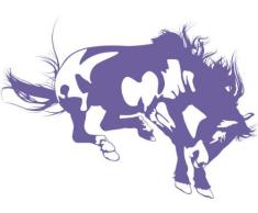 INDIGOS 4051095050193 Wandtattoo W606 feueriges Pferd 80 x 44 cm, Wandaufkleber in 3 Größen, violett