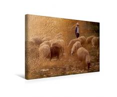 Premium Textil-Leinwand 45 x 30 cm Quer-Format Hirte und Herde | Wandbild, HD-Bild auf Keilrahmen, Fertigbild auf hochwertigem Vlies, Leinwanddruck von H.T.Manfred Zimmermann