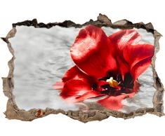 Pixxprint 3D_WD_S1535_92x62 rote Mohnblüte im Wasser Wanddurchbruch 3D Wandtattoo, Vinyl, bunt, 92 x 62 x 0,02 cm
