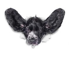 Winston & Bear 3D Hund Aufkleber - 2er-Pack - lustige Cockerspaniel fliegende Ohren für Wand, Kühlschrank Cocker Spaniel Aufkleber