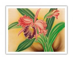 Pacifica Island Art Pink Cattleya Orchidee Hawaii – The Queen of Orchids – Vintage Hawaiian Airbrush Art von Moki Hana c.1930er – Hawaiian Fine Art Print 11 x 14