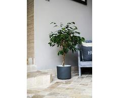 Ivyline Blumentopf, Keramik, Cement, 27 cm