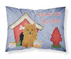 Caroline s Treasures bb2774pillowcase Hund House Collection Norwich Terrier Stoff Kissenbezüge, Standard, Multicolor
