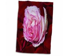 3dRose White Magnolia Flower, Green Background, Stylized Photo Handtücher, weiß, 15 x 22