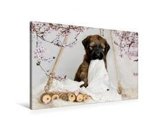 Premium Textil-Leinwand 90 x 60 cm Quer-Format Mein Schnuffeltuch | Wandbild, HD-Bild auf Keilrahmen, Fertigbild auf hochwertigem Vlies, Leinwanddruck von Sonja Teßen