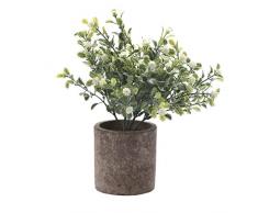 HC Star Kunstpflanze Mini Fake Topfpflanzen Dekorative lebensecht Blumen Grün Pflanzen Round Pot Weiß NEW03