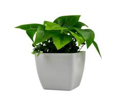 Belee Künstliche Pflanzen, 3 Stück