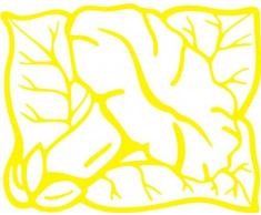 INDIGOS/Wandaufkleber-e183 hübsche Trompetenblume 80x54 cm- gelb, Vinyl, 80 x 64 x 1 cm