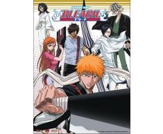 Great Eastern Entertainment Bleach Ichigo Team Wall Scroll, 33 von Blumenkasten