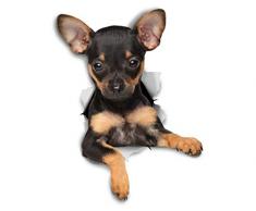 Winston & Bear 3D Hund Aufkleber - 2er-Pack - Toy Terrier Welpe für Wand, Kühlschrank Toy Terrier Welpe Aufkleber