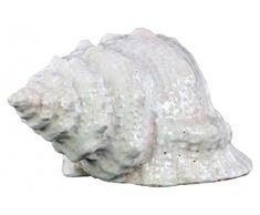 Urban Trends Keramik Conch Seashell Figur, oberflächlichen-Optik, weiß