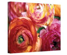 ArtWall Kathy Yates Leinwandbild, Motiv Ranunculus Nahaufnahme, 30,5 x 45,7 cm Fotografie 16x24