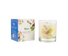 Wax Lyrical Teelichter, Duftwicke, Brenndauer ca. 4 Stunden, 12 Stück, Gift Boxed Candle