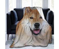 Warme Fell-Überwurfdecke, süße Shiba Inu Hunde-Decke, super gemütliches Bett, Couch Auto, tragbarer Umhang mit Kapuze, für Erwachsene/Alte/Kind, geeignet für Winter, Sommer, Herbst, Frühling, 80x60 schwarz
