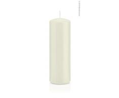 Wiedemann 218311.003 Stumpenkerzen in Cellophan, Wachs, Elfenbein, 15 x 5 cm, 24-Einheiten