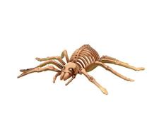 Halloween Spider Skelett Kunststoff Dekoration Requisite groß 20,3 x 12,7 cm Knochen Party gruselig Tafelaufsatz Gruselig Innen Außen