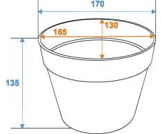 EUROPALMS 83011015 Kunststoff Blumenkasten rot 17 cm bunt Einheitsgröße