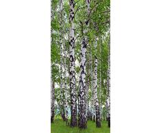 Fototapete FTNv2896 Photomurals Birke