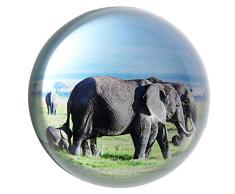 HANUR Briefbeschwerer, Glaskugel, Halbkugel Presse, Kreative Dekoration, Bürobedarf Elephant 1