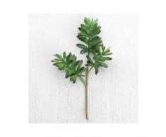 Kalalou KALCYF1073 Kunstblume, Einheitsgröße, Grün