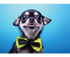 AG Design FTM 0861 Kleiner Hund Papier Fototapete, mehrfarbig, 160 x 115 cm