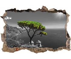 Pixxprint 3D_WD_4945_62x42 Mediteraner Baum am mittelmeer Wanddurchbruch 3D Wandtattoo, Vinyl, schwarz / weiß, 62 x 42 x 0,02 cm