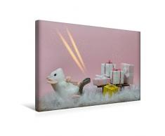 Premium Textil-Leinwand 45 x 30 cm Quer-Format Päckchen am Schlitten und Sterne vom Himmel | Wandbild, HD-Bild auf Keilrahmen, Fertigbild auf hochwertigem Vlies, Leinwanddruck von photography brigitte jaritz