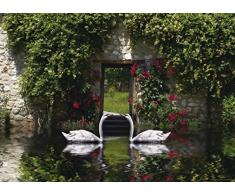 AG Design FTM 0811 Schwäne, Papier Fototapete - 160x115 cm - 1 Teil, Papier, multicolor, 0,1 x 160 x 115 cm