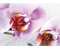 AG Design FTM 0489 Violette Orchidee, Papier Fototapete - 160x115 cm - 1 Teil, Papier, multicolor, 0,1 x 160 x 115 cm