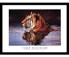 Buyartforless Robert Cushman Hayes Kunstdruck, gerahmt, 61 x 45,7 cm, Motiv: Tiger, der Kopf aus dem Wasser mit Reflektion Sieht, Orange