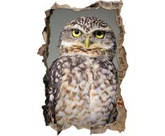 Pixxprint 3D_WD_S1843_92x62 schöne Eule mit gelben Augen Wanddurchbruch 3D Wandtattoo, Vinyl, bunt, 92 x 62 x 0,02 cm