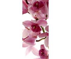 AG Design FTV 1514 Orchidee, Papier Fototapete - 90x202 cm - 1 Teil, Papier, multicolor, 0,1 x 90 x 202 cm