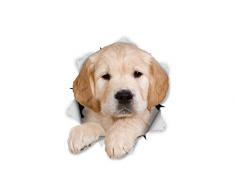 Winston & Bear 3D Hund Aufkleber - 2er-Pack - Golden Retriever Welpen für Wand, Kühlschrank Golden Retriever Hund Aufkleber
