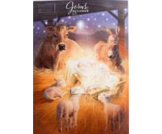 Day Spring Cards Frühlingskarten Adventskalender Jesus Gods Greatest Gift