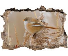Pixxprint 3D_WD_S1102_62x42 kleiner dicker Vogel auf herbstlicher Pflanze Wanddurchbruch 3D Wandtattoo, Vinyl, bunt, 62 x 42 x 0,02 cm