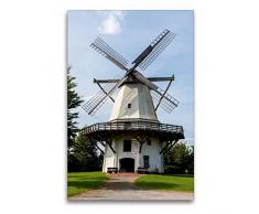 Premium Textil-Leinwand 60 x 90 cm Hoch-Format Galerieholländer, Windmühle, Tonnenheide | Wandbild, HD-Bild auf Keilrahmen, Fertigbild auf hochwertigem Vlies, Leinwanddruck von Barbara Boensch