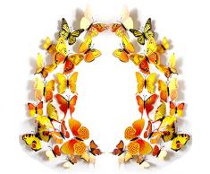 JYPHM 24PCSo Schmetterling Wandtattoo Abnehmbarer Kühlschrank Magneten Wandaufkleber 3D Wandaufkleber für Kinder Hause Kinderzimmer Dekoration Wandkunst Regenbogen