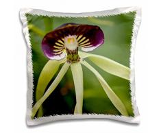 3D Rose Black Orchidee National Flower of Belize-Sa02 Wsu0016 Kissenbezug, 40,6 x 40,6 cm