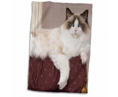 3dRose Purebred Stoffpuppe für Katzen, Lounging Piperanne Worcester, Weiß, 38,1 x 55,9 cm