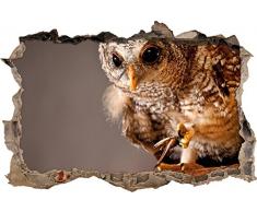 Pixxprint 3D_WD_2223_62x42 wachsame junge Eule Wanddurchbruch 3D Wandtattoo, Vinyl, bunt, 62 x 42 x 0,02 cm
