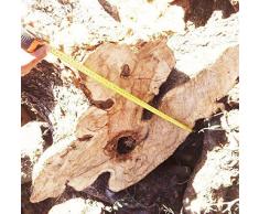 Olivenholz Kronleuchter aus nur 1 Stück Platte von Getreide/Natur