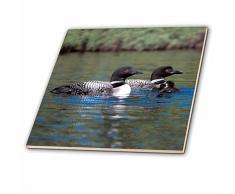 3dRose Familie von DREI Loons Keramik Fliesen, 6