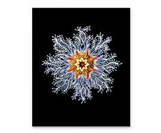 Joy For All Art Kunstdruck, Muschel, 27,9 x 35,6 cm, ungerahmt, Meeresdekor für Küche, Schlafzimmer, Büro, Badezimmer, Zuhause, Schwarz/Weiß